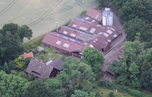 2010